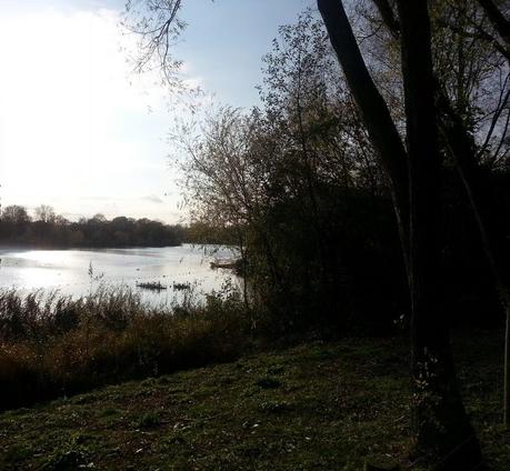 Sunny Sunday Afternoon Sunny Sunday Afternoon