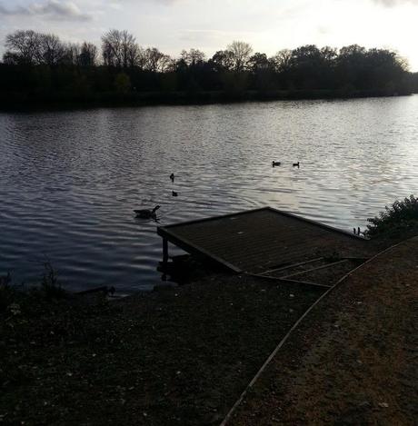 Sunny Sunday Afternoon Sunny Sunday Afternoon