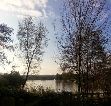 Sunny Sunday Afternoon Sunny Sunday Afternoon