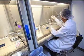 Cordlife Philippines Cord Blood Banking