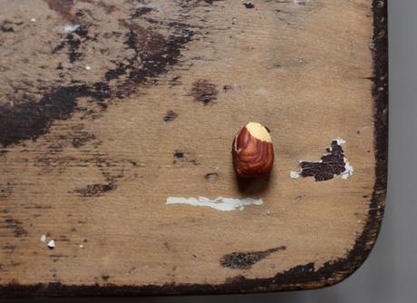 The Case of the Curious Dog & The Homemade Nutella Mighty Hazelnut