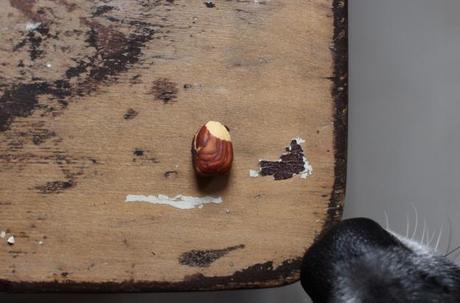 The Case of the Curious Dog & The Homemade Nutella Curious Dog