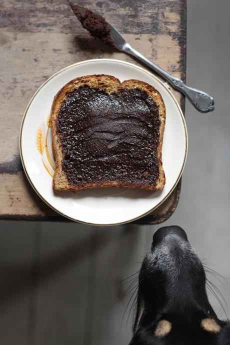 The Case of the Curious Dog & The Homemade Nutella Punkin Seeds and Nutella