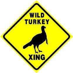 turkey crossing