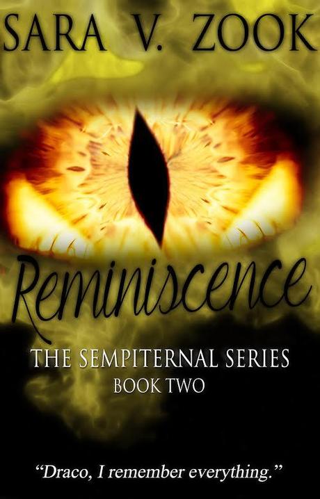 Reminiscence by Sara V. Zook: Book Blitz with Excerpt Reminiscence Cover