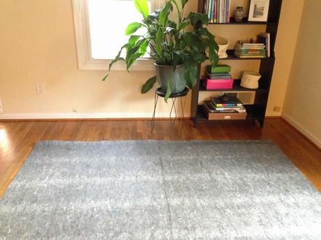 Protecting your floors, caring for your rugs (lots of eye candy too!)