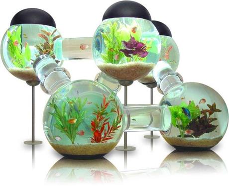 Fish Tank Decoration Ideas For Kids