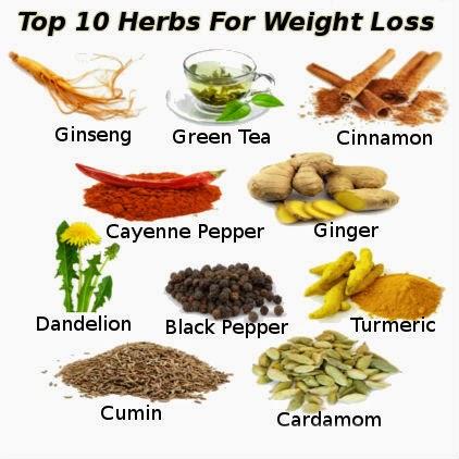 Natural Weight Loss Herbs