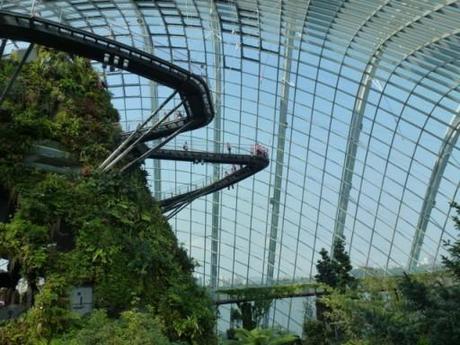 view of the skywalk in one of the Biomes in Singapore