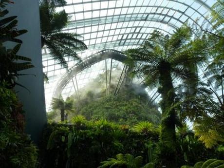 skywalk in the mist at the Singapore Biomes