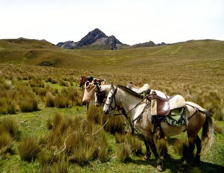 Adventures in Quito: Hacienda El Porvenir – A Base Camp for Andes Adventures