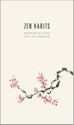 Interview with Leo Babauta of Zen Habits