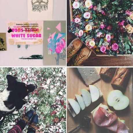 Instagram Lately: What Do You Think? Pinks Too