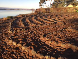 The sunlight hitting the soil and the rocks took my breath away. This is the space where we enter the labyrinth. To pray. To meditate. To listen. At Baywood - Los Osos Labyrinth