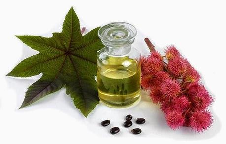 5 reasons why you should include Castor Oil in your hair Regime