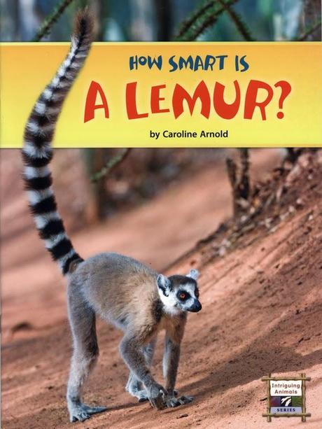 NEW BOOK! How Smart is a Lemur?