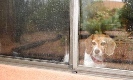 Who’ll Stop the Rain, #1104 Bender_Rain