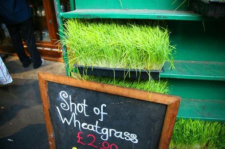 wheatgrass benefits uses skin