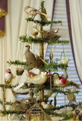 Christmas Is for The Birds!