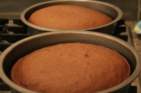 Wright’s Chocolate Sponge Kit IMG_4674