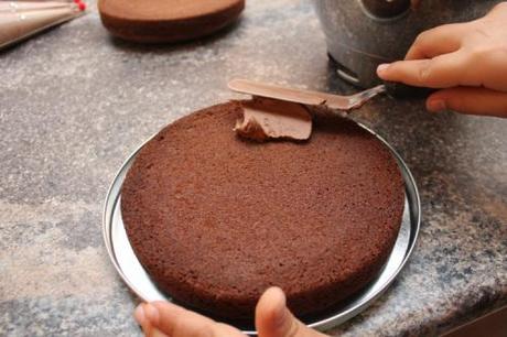 Wright’s Chocolate Sponge Kit IMG_4679