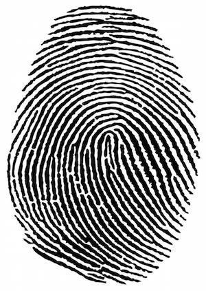 Fingerprint22