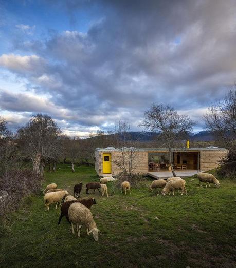 modern house with wood cladding and yellow door