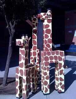 Giraffes from Chandler, Arizona