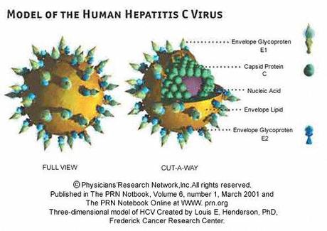 The Skinny on the Hepatitis C Market
