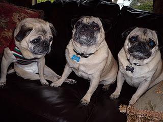 Buddy Fergurson - Touched By An Angel Buddy Fergurson - Touched By An Angel