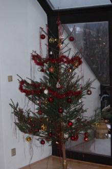 Christmas Tree (24/12/2011, Vsetin, Czech Republic)