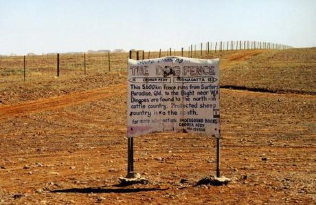 The Dingo Fence The Dingo Fence