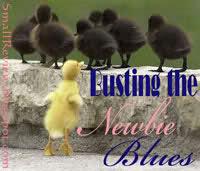 Busting the Newbie Blues Busting the Newbie Blues