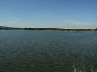 43) Nelligudde kere(N.G Lake),Big Banyan, Manchinbele, Kanva: (5/10/2011)