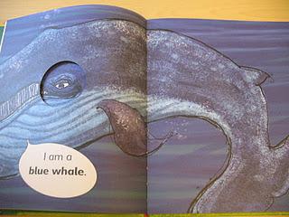 Book Sharing Monday:I spy with my little eye... Book Sharing Monday:I spy with my little eye...
