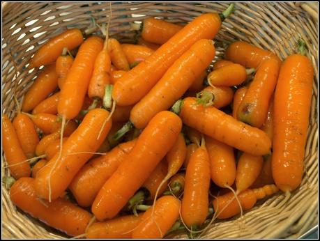 Harvest Monday - 5th January 2015 Harvest Monday - 5th January 2015