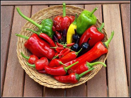 Harvest Monday - 5th January 2015 Harvest Monday - 5th January 2015