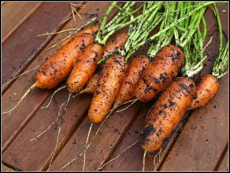 Harvest Monday - 5th January 2015 Harvest Monday - 5th January 2015