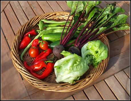 Harvest Monday - 5th January 2015 Harvest Monday - 5th January 2015