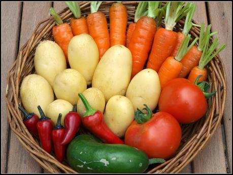 Harvest Monday - 5th January 2015 Harvest Monday - 5th January 2015