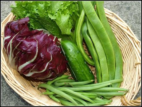 Harvest Monday - 5th January 2015 Harvest Monday - 5th January 2015