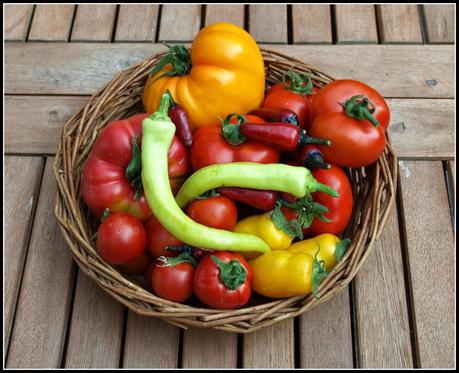 Harvest Monday - 5th January 2015 Harvest Monday - 5th January 2015