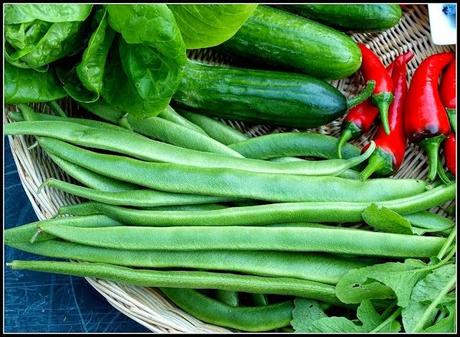Harvest Monday - 5th January 2015 Harvest Monday - 5th January 2015