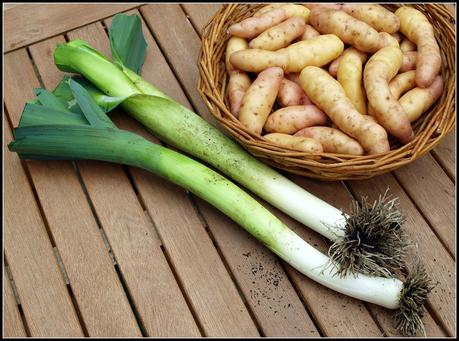 Harvest Monday - 5th January 2015 Harvest Monday - 5th January 2015