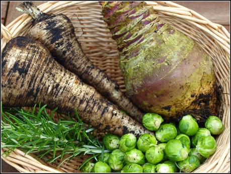 Harvest Monday - 5th January 2015 Harvest Monday - 5th January 2015