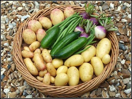 Harvest Monday - 5th January 2015 Harvest Monday - 5th January 2015