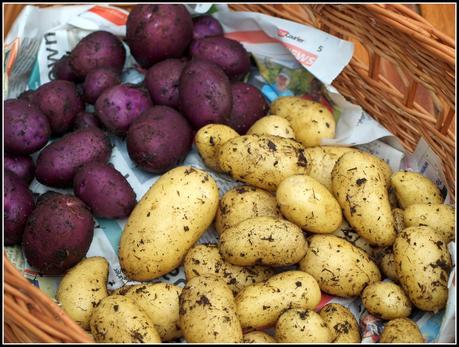 Harvest Monday - 5th January 2015 Harvest Monday - 5th January 2015