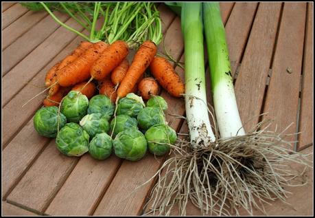 Harvest Monday - 5th January 2015 Harvest Monday - 5th January 2015