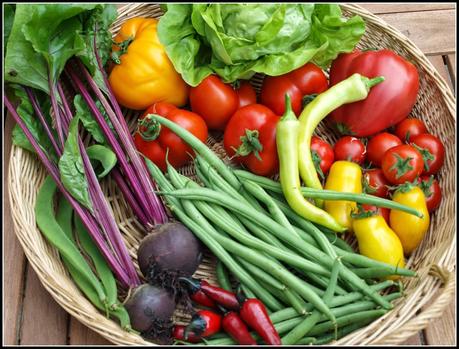 Harvest Monday - 5th January 2015 Harvest Monday - 5th January 2015