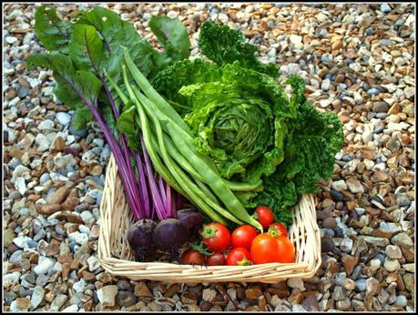 Harvest Monday - 5th January 2015 Harvest Monday - 5th January 2015